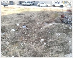  2025Ÿ550  ý  2005-8       ()