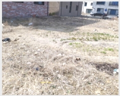  2025Ÿ550  ý  2005-8       ()