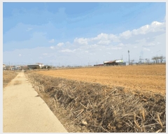  2025Ÿ579  ý ؼ  20-34      ()