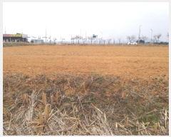  2025Ÿ579  ý ؼ  20-34      ()