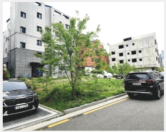  2025Ÿ��625 ��� ���ý� ������ 2474-2       ����(����)���