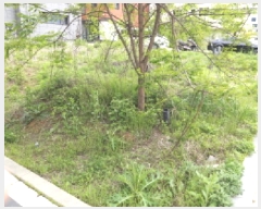  2025Ÿ��625 ��� ���ý� ������ 2474-2       ����(����)���