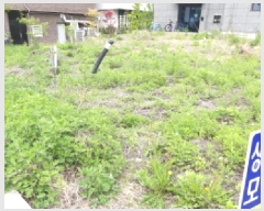  2025Ÿ��625 ��� ���ý� ������ 2474-2       ����(����)���