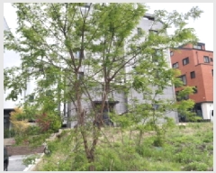  2025Ÿ��625 ��� ���ý� ������ 2474-2       ����(����)���