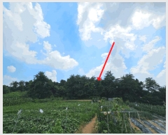  2025Ÿ��756 ��� ���ý� ���浿 577-2       ����(��1)���