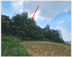  2025Ÿ��756 ��� ���ý� ���浿 577-2       ����(��1)���