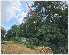  2025Ÿ��756 ��� ���ý� ���浿 577-2       ����(��1)���