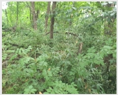  2025Ÿ��756 ��� ���ý� ���浿 577-2       ����(��1)���