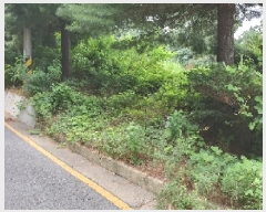  2025Ÿ��756 ��� ���ý� ���浿 577-2       ����(��1)���