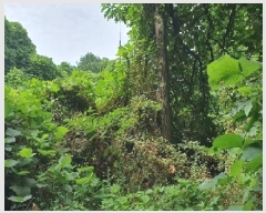  2025Ÿ��756 ��� ���ý� ���浿 577-2       ����(��1)���