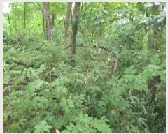  2025Ÿ��756 ��� ���ý� ���浿 577-2       ����(��1)���