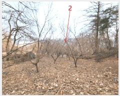  2025Ÿ41477  ȼ ׸  157-2      (1)