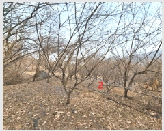  2025Ÿ41477  ȼ ׸  157-2      (1)