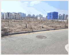  2025Ÿ��41502  �������