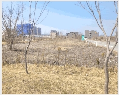  2025Ÿ��41502  �������