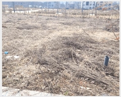  2025Ÿ��41502  �������