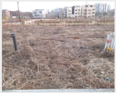  2025Ÿ��41502  �������