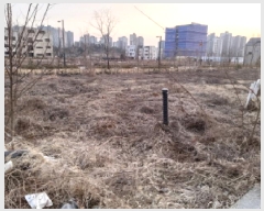  2025Ÿ��41502  �������