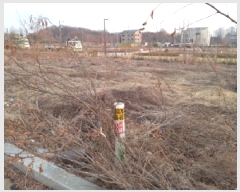  2025Ÿ��41502  �������