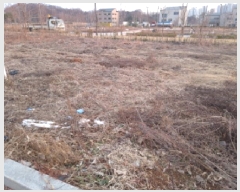  2025Ÿ��41502  �������