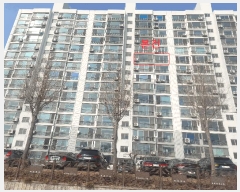  2025Ÿ41512  ȼ յ 534 Ʈ 104 101004ȣ    Ʈ