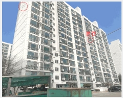  2025Ÿ41512  ȼ յ 534 Ʈ 104 101004ȣ    Ʈ