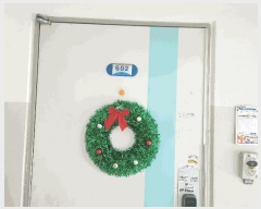  2025Ÿ��41552  ����Ʈ���