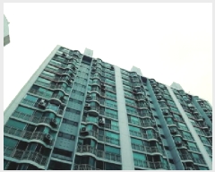  2025Ÿ��41552  ����Ʈ���