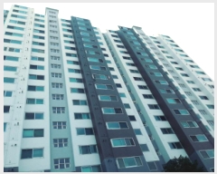  2025Ÿ��41612  ����Ʈ���