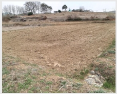  2025Ÿ41652  ý  ݸ 405-43      ()