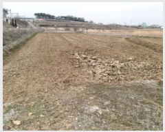  2025Ÿ41652  ý  ݸ 405-43      ()