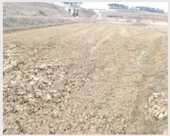  2025Ÿ41652  ý  ݸ 405-43      ()