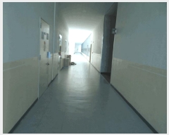  2025Ÿ��41675  ����Ʈ��������