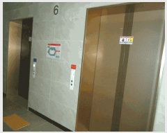  2025Ÿ��41675  ����Ʈ��������