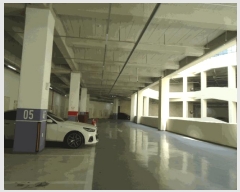  2025Ÿ��41675  ����Ʈ��������