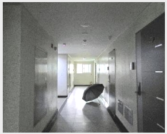  2025Ÿ41730  ý õ 185-44 ݽ̽ 3306ȣ     Ʈ