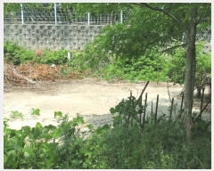  2025Ÿ��41754  �����