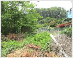  2025Ÿ��41754  �����