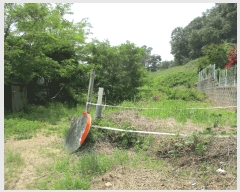  2025Ÿ��41754  �����