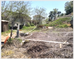  2025Ÿ��41754  �����