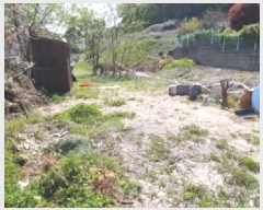  2025Ÿ��41754  �����