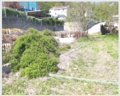  2025Ÿ��41754  �����