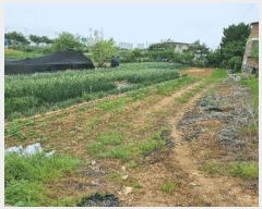  2025Ÿ��41864  ����