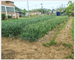  2025Ÿ��41864  ����