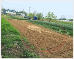  2025Ÿ��41864  ����