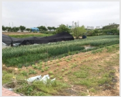  2025Ÿ��41864  ����