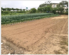  2025Ÿ��41864  ����