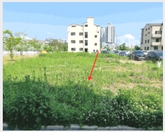  2025Ÿ��41912  �������