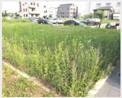  2025Ÿ��41912  �������