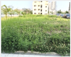  2025Ÿ��41912  �������